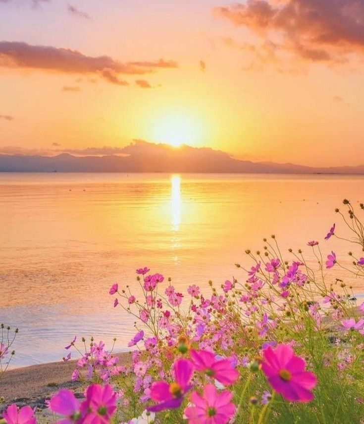 Image Instagram
