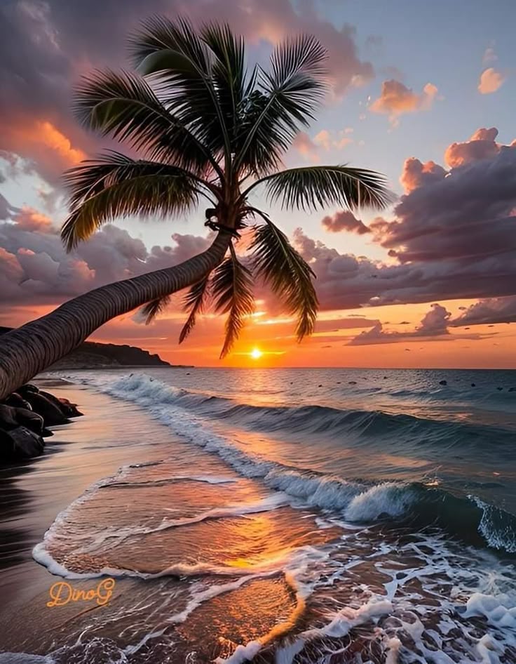 Three Islands Package
