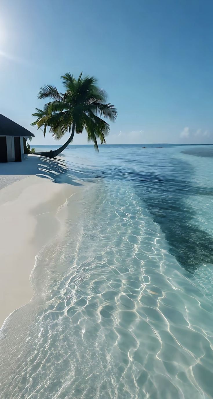 Radhanagar Beach - Havelock