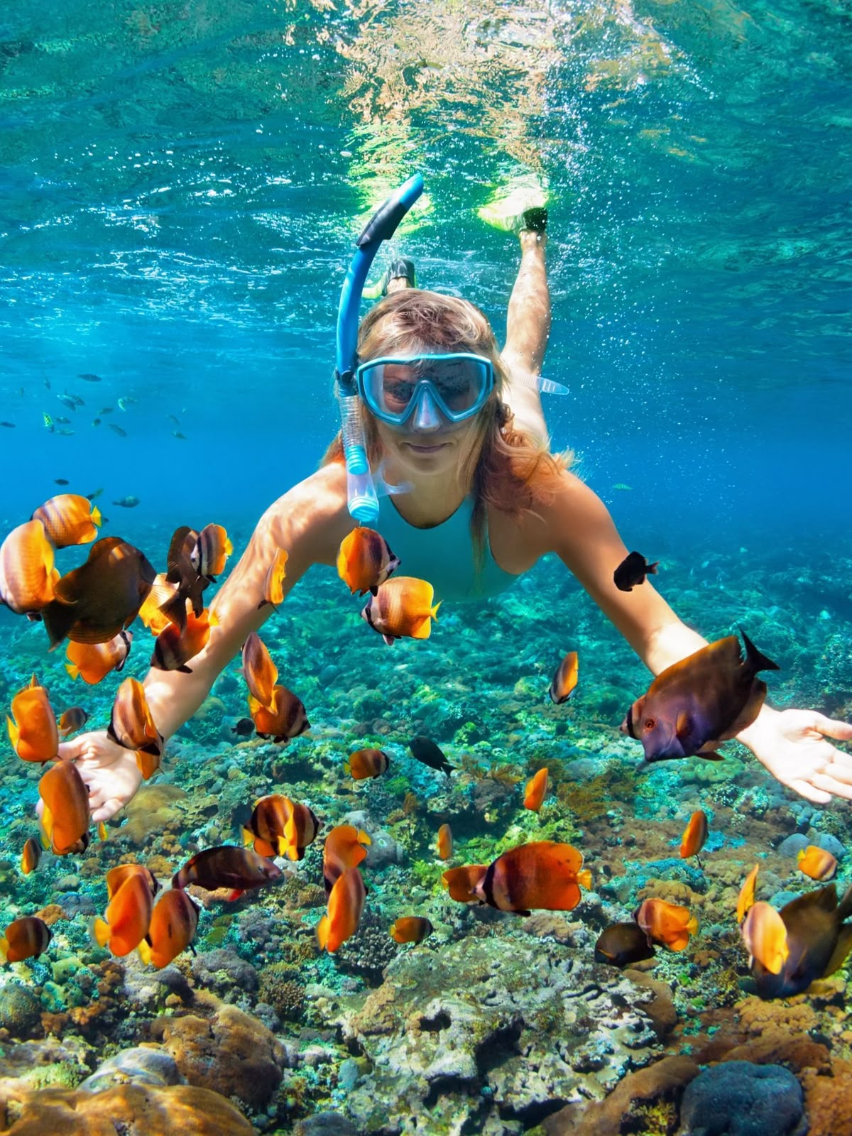 Snorkeling 1